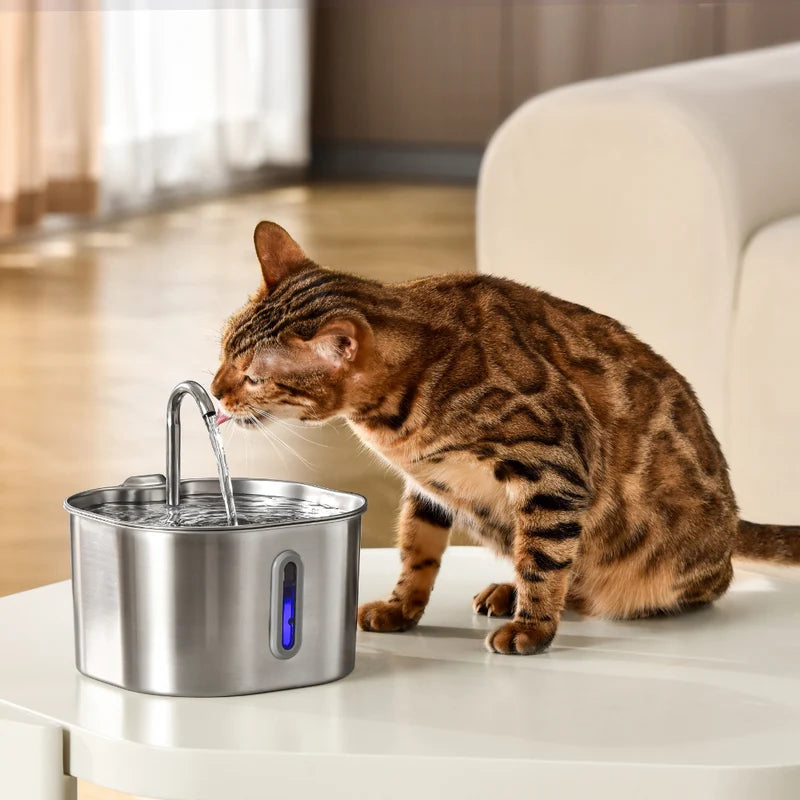 AquaFélin : Fontaine à Eau pour Chat