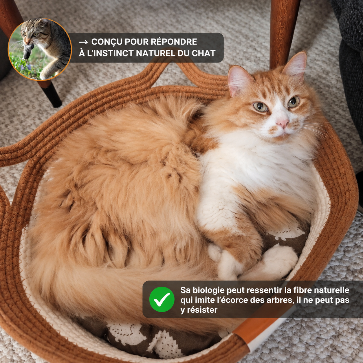 Panier pour chat CoconFélin™