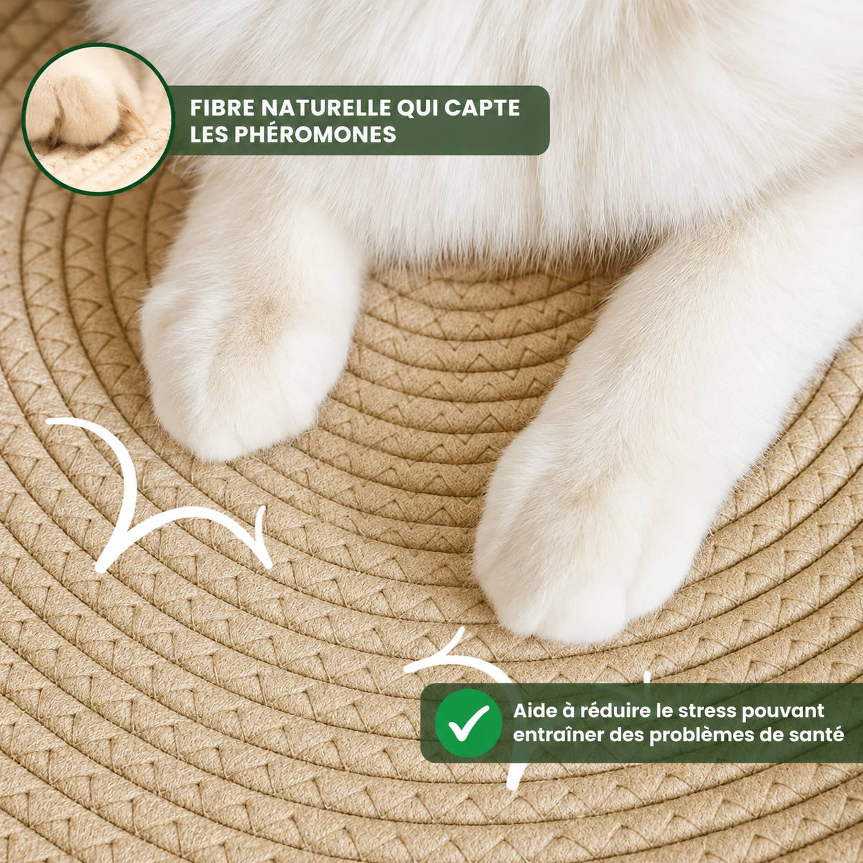Panier pour chat CoconFélin™