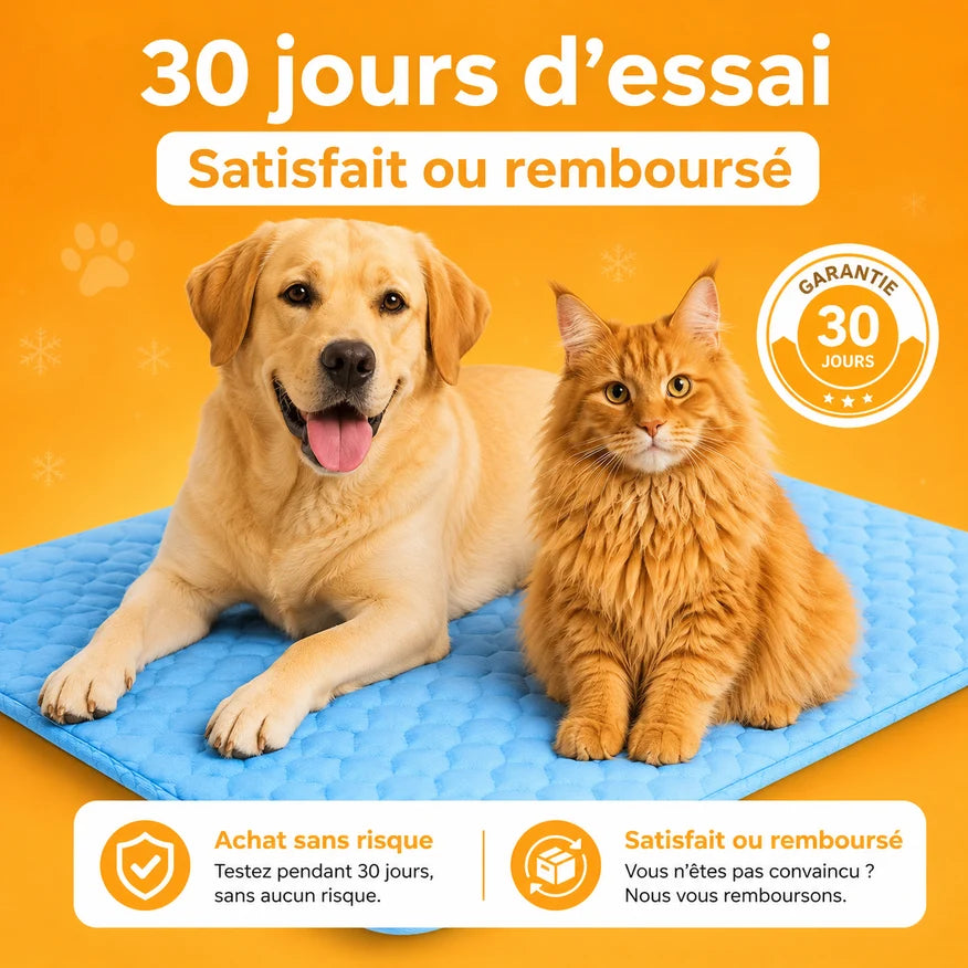 Le Rafraîchissant