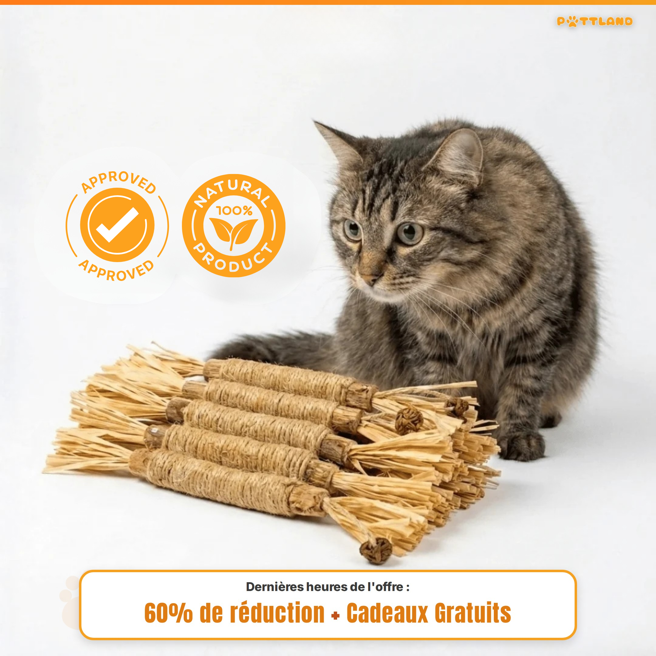 Patt'Dent™ - Pack de Bâtonnets Dentaires au Silvervine