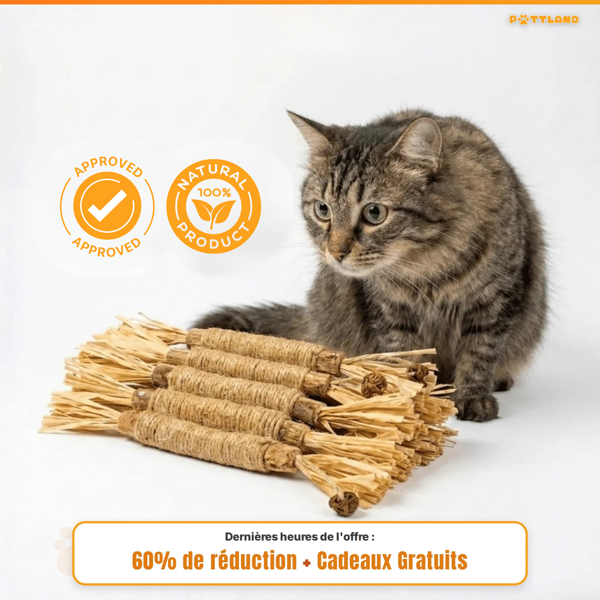 Patt'Dent™ - Pack de Bâtonnets Dentaires au Silvervine
