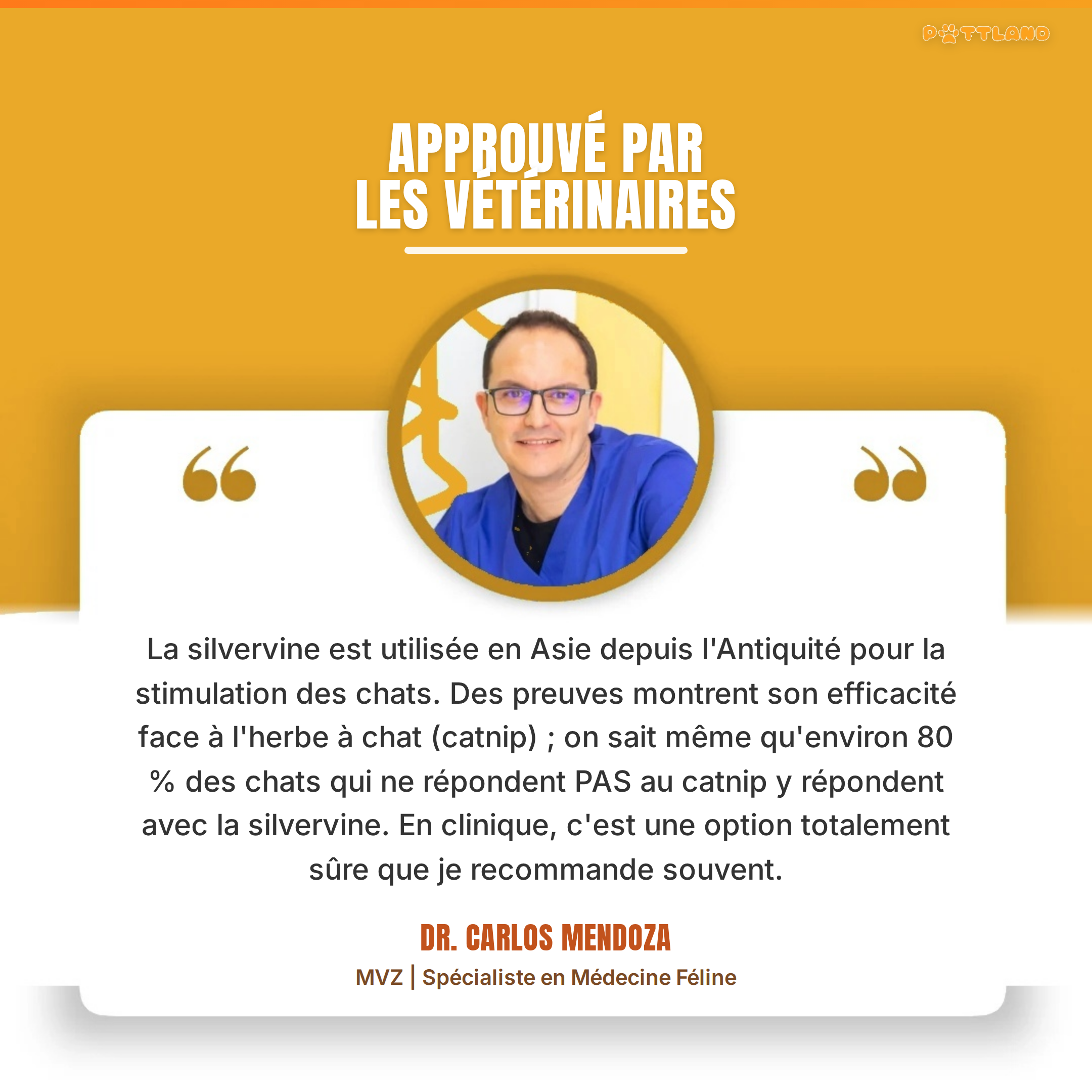 Patt'Dent™ - Pack de Bâtonnets Dentaires au Silvervine