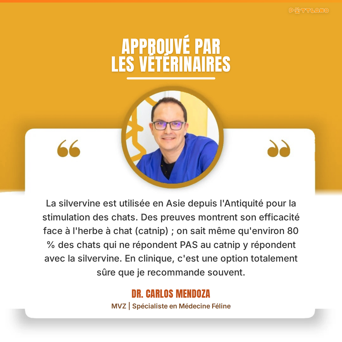 Patt'Dent™ - Pack de Bâtonnets Dentaires au Silvervine