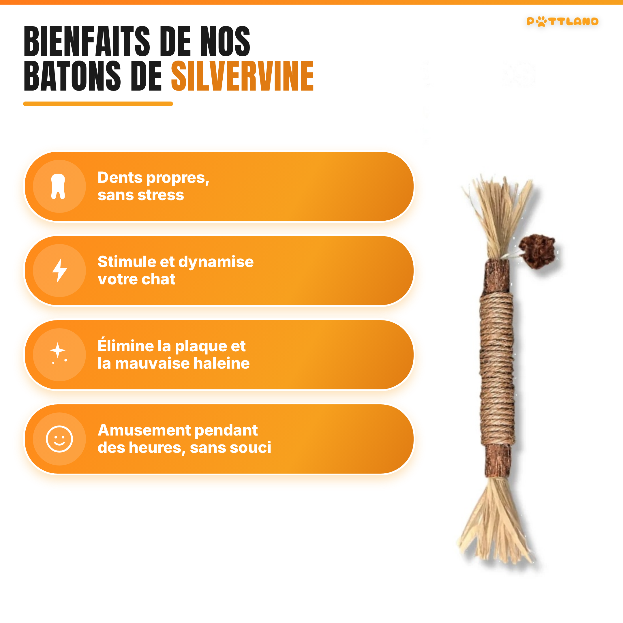 Patt'Dent™ - Pack de Bâtonnets Dentaires au Silvervine