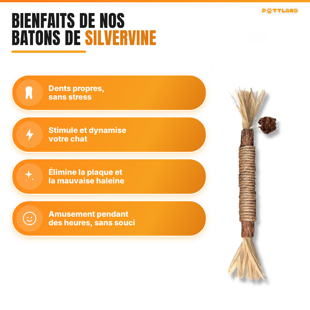 Patt'Dent™ - Pack de Bâtonnets Dentaires au Silvervine