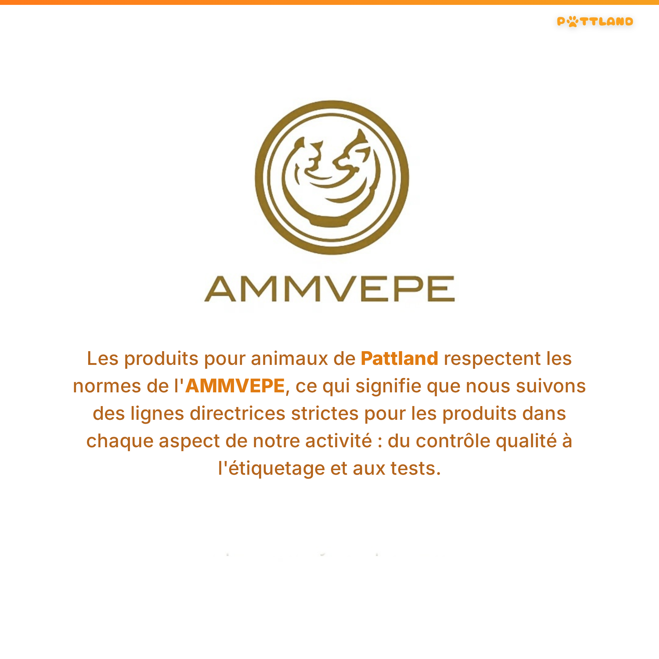 Patt'Dent™ - Pack de Bâtonnets Dentaires au Silvervine