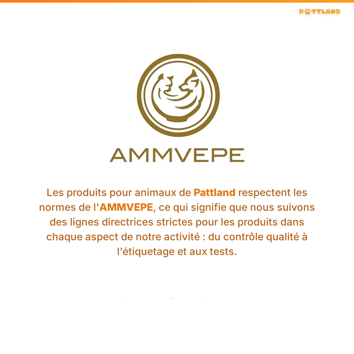 Patt'Dent™ - Pack de Bâtonnets Dentaires au Silvervine