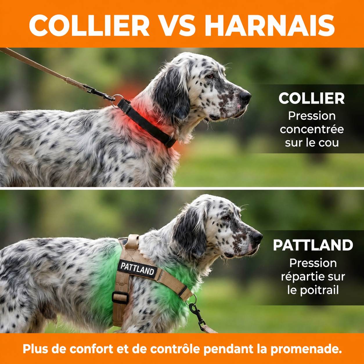 Harnais Anti-Traction Pattland