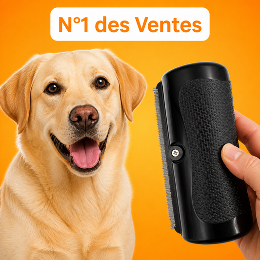 DouxPoil — La Brosse Numéro 1