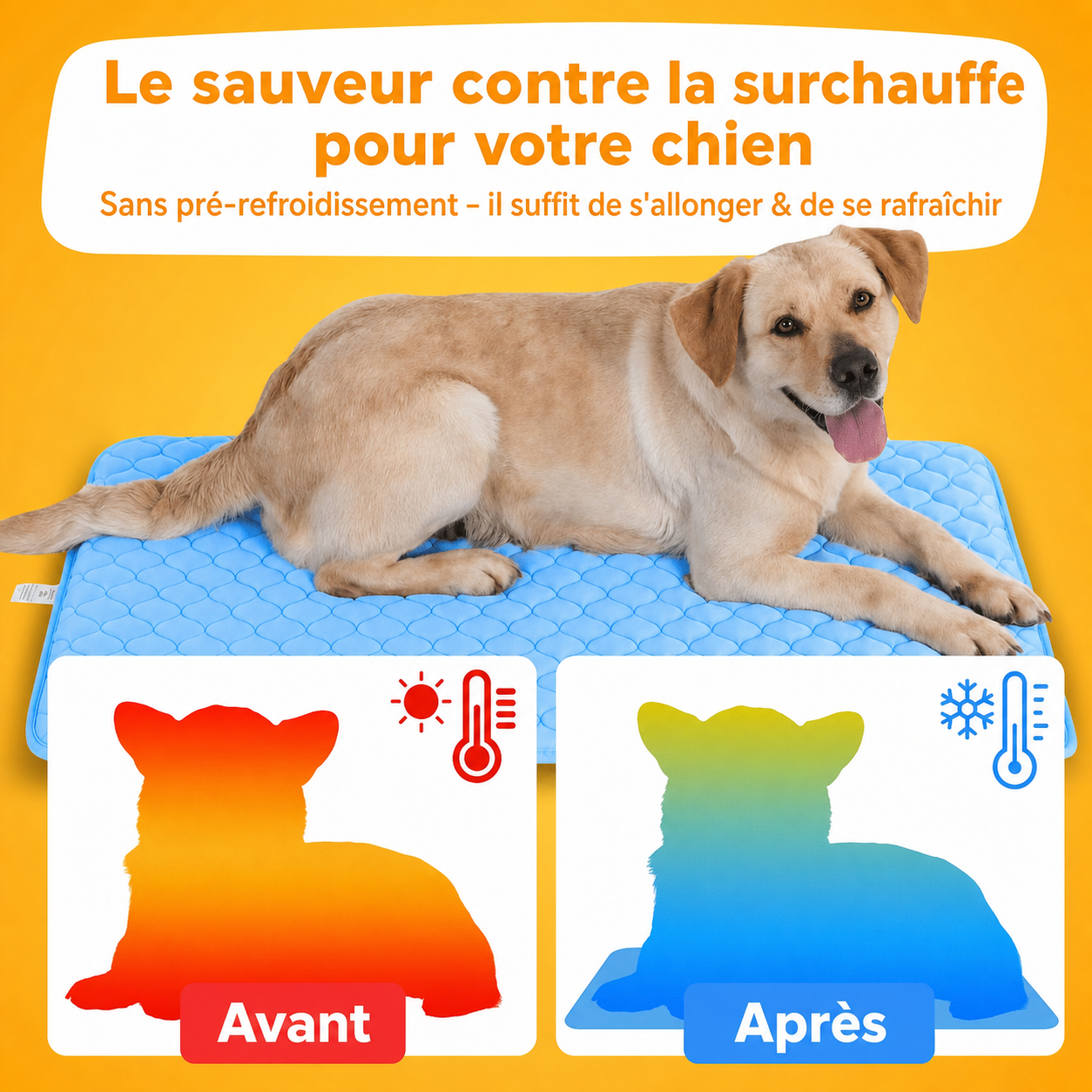 Le Rafraîchissant