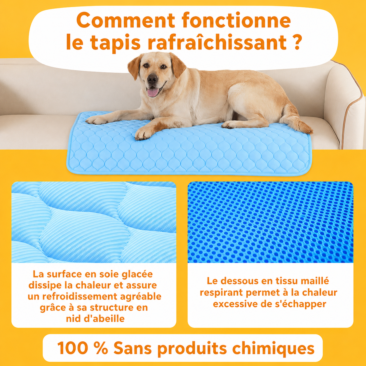 Le Rafraîchissant
