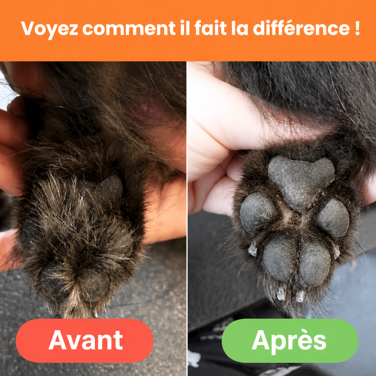 Tondeuse a Pattes 4 en 1