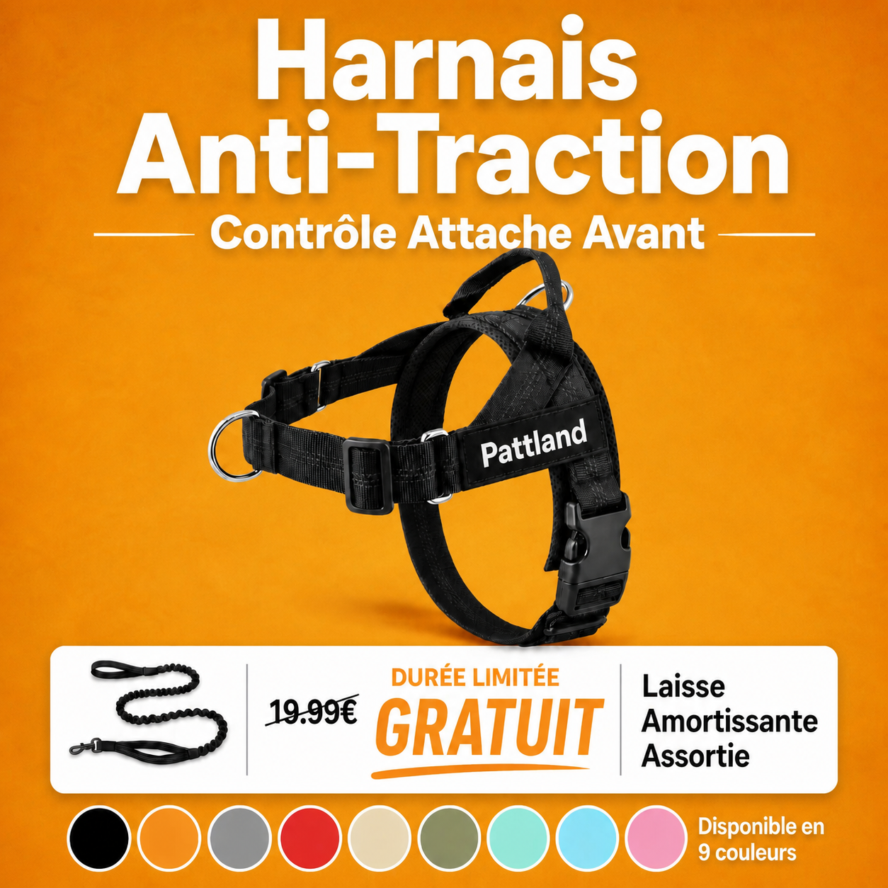 Harnais Anti-Traction Pattland